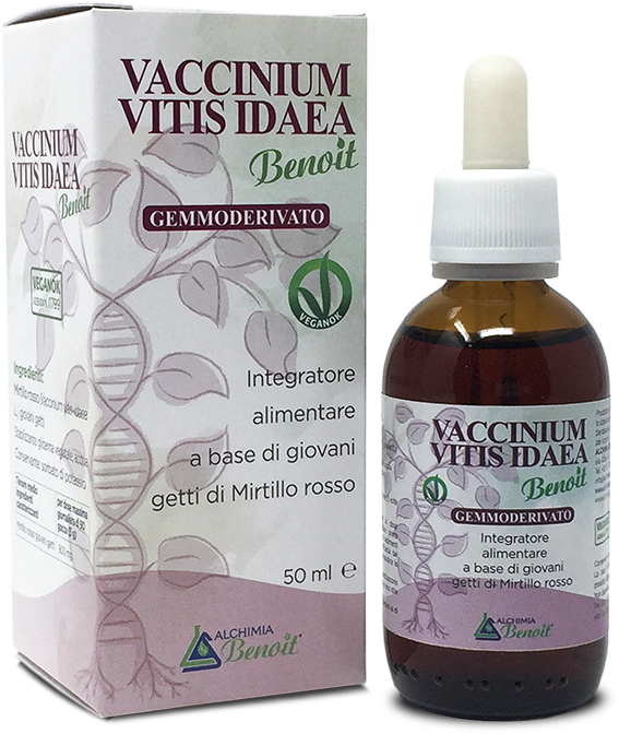 VACCINIUM VITIS IDAEA GEMM50ML