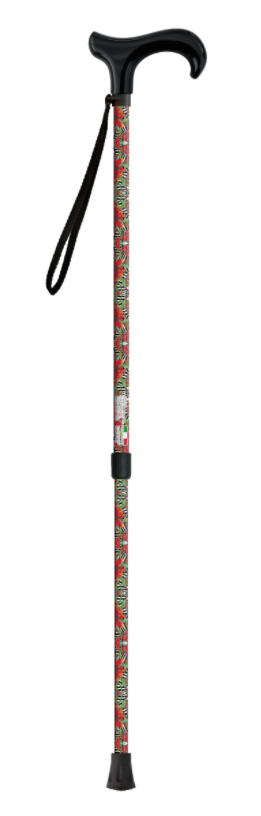 BASTONE DERBY COLIBRI'