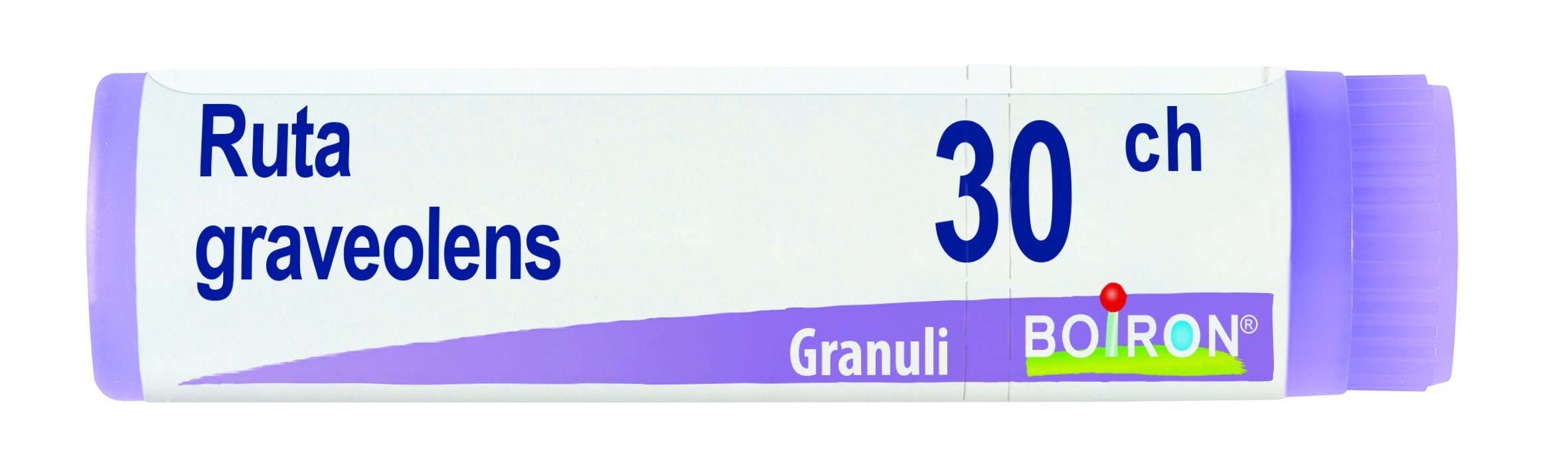 BO.RUTA GRAVEOLENS*30CH GL 1G
