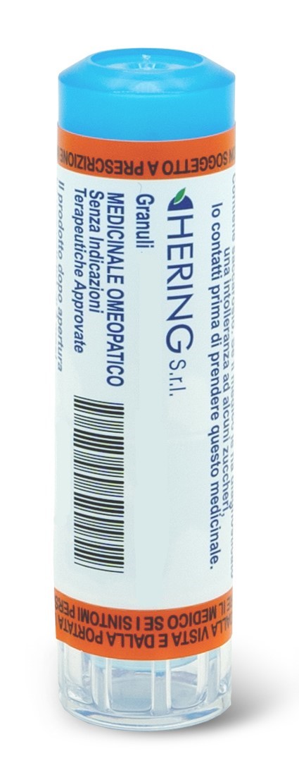 THUYA OCCIDENTALIS*200CH GR 1G