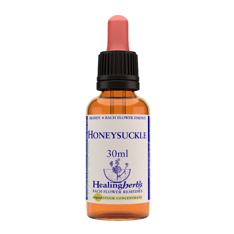 HONEYSUCKLE ESSENZA 30ML