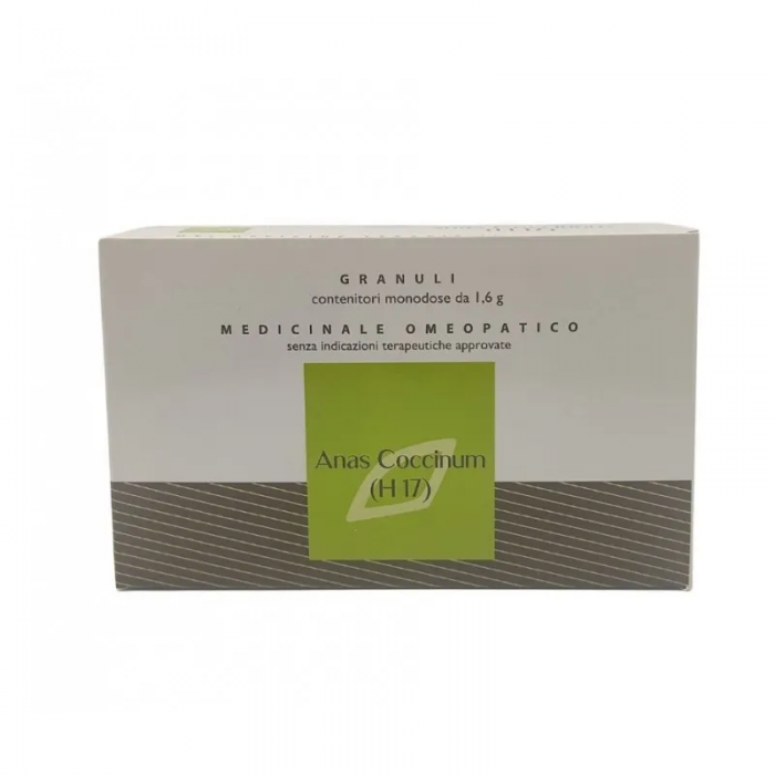 ANASCOCCINUM(HOLIS 17)6FL GRAN