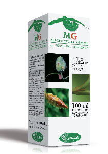 SEQUOIA 100ML MG