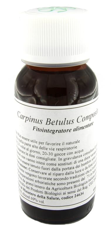 LVS 20N CARPINUS BETULUS COMP