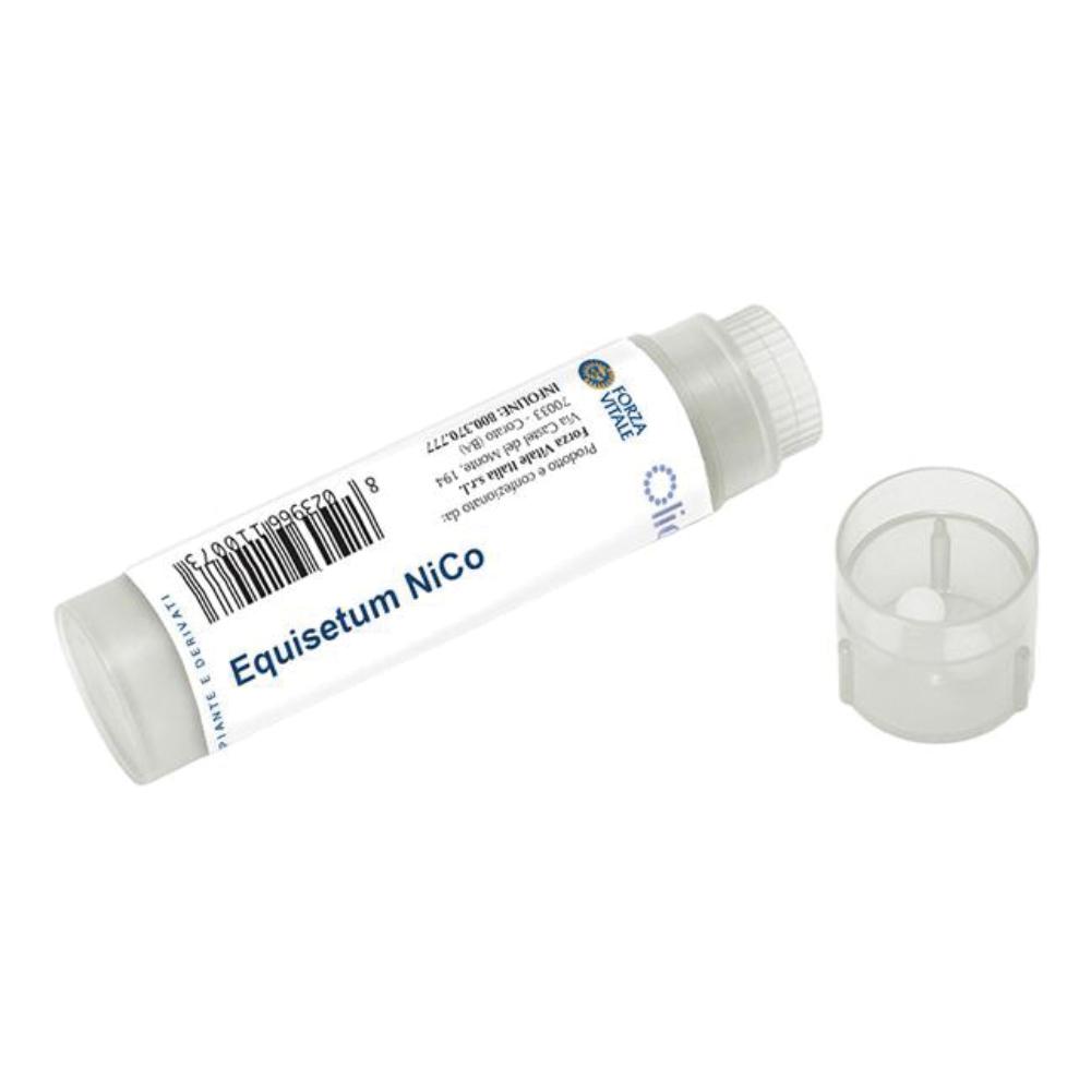 Equisetum ni/co 100 globuli